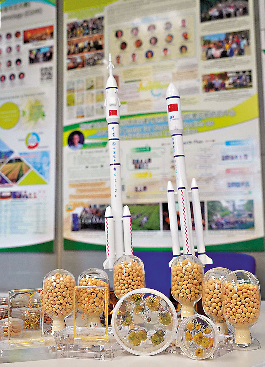 ●團隊所研究的大豆固氮菌菌株「根瘤菌」曾於前年5月10日由「天舟六號」貨運飛船搭載升空。香港文匯報記者曾興偉  攝