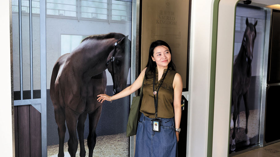 ●傳奇馬廊：虛擬馬房中與6匹經典賽駒互動