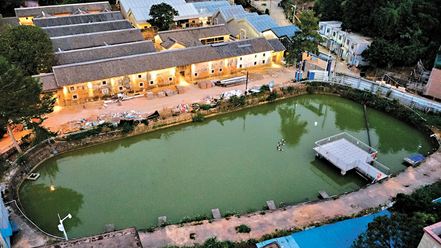 ●改建前的龍馬社守月塘。 香港文匯報深圳傳真