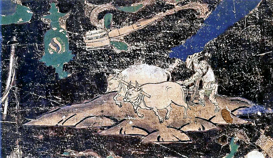 ●在敦煌莫高窟的壁畫裏，牛與人和諧相處。 作者供圖