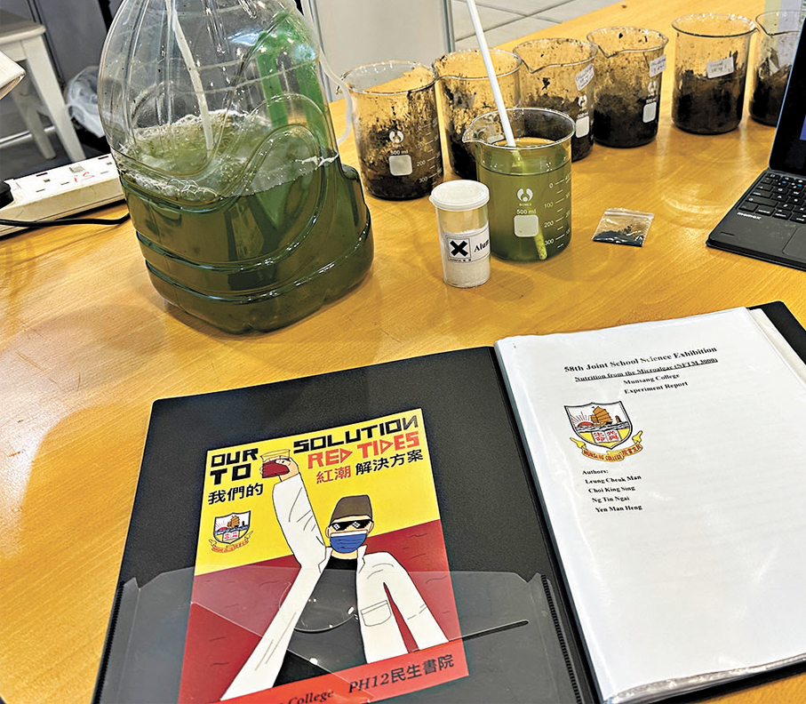 ●「點藻成肥3000」的創作初衷是為了解決香港水域因有害藻華所引發的生態失衡問題。