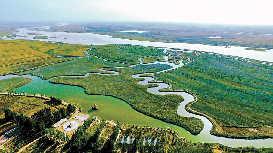 ●黃沙古渡黃河濕地景色優美。