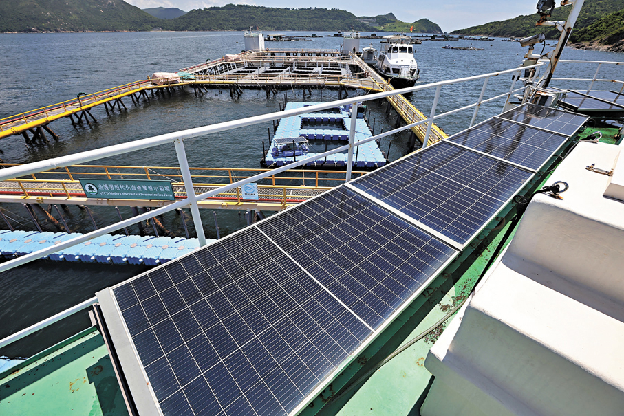 ●白銀是太陽能電池中不可或缺的導電材料。 資料圖片