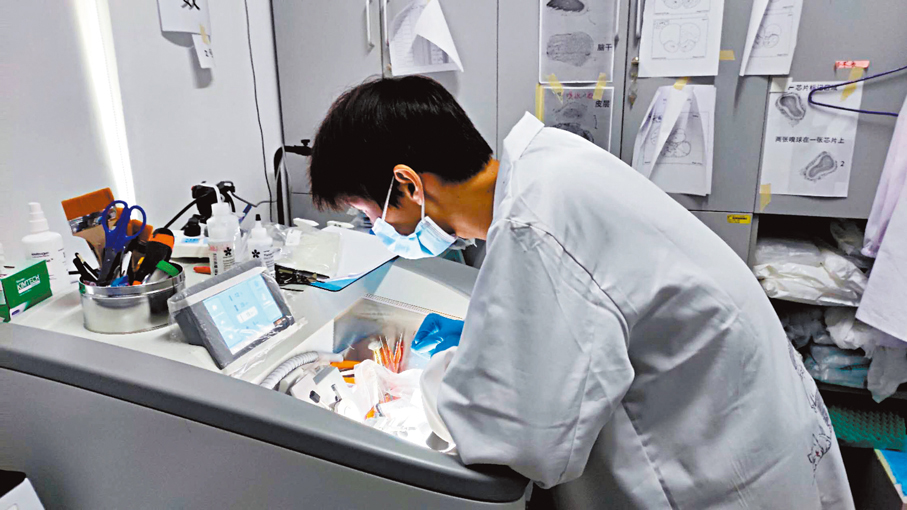 ●科研人員在腦圖譜研究工作中。