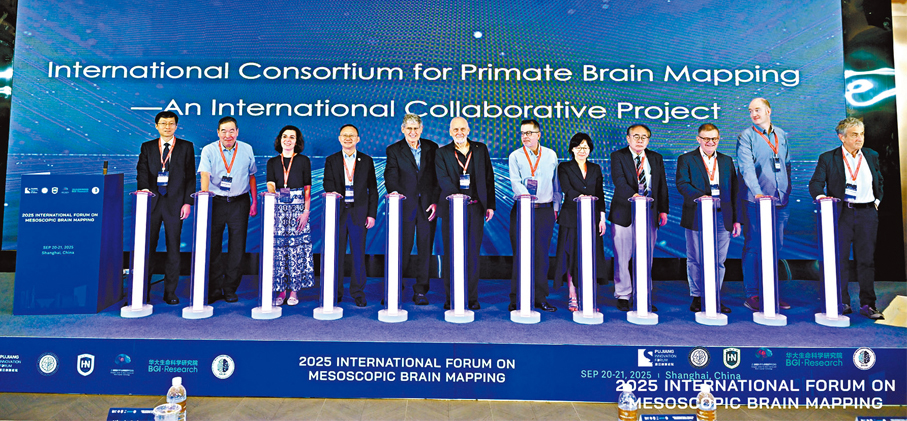 ●國際靈長類介觀腦圖譜聯盟成立。