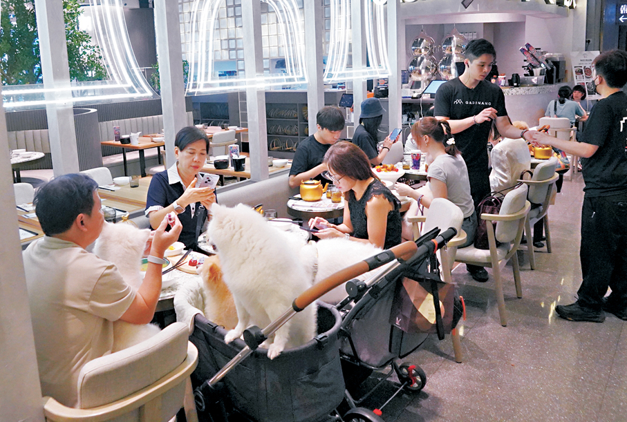 ●新年度施政報告建議推出寵物友善措施,包括讓食肆經營者申請,容許狗隻進入食肆。 香港文匯報記者曾興偉 攝