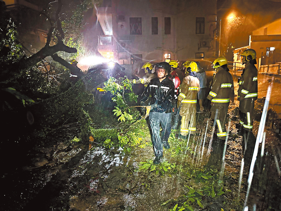●消防員和警員冒雨清理塌樹，搶通道路。
