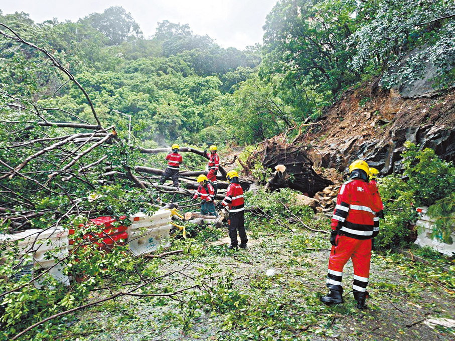 ●消防員在清理塌樹，開通道路。 消防處Fb圖片