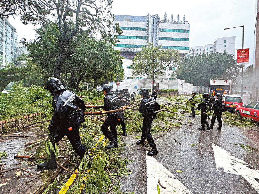 ●警員合力清理塌樹，恢復交通。