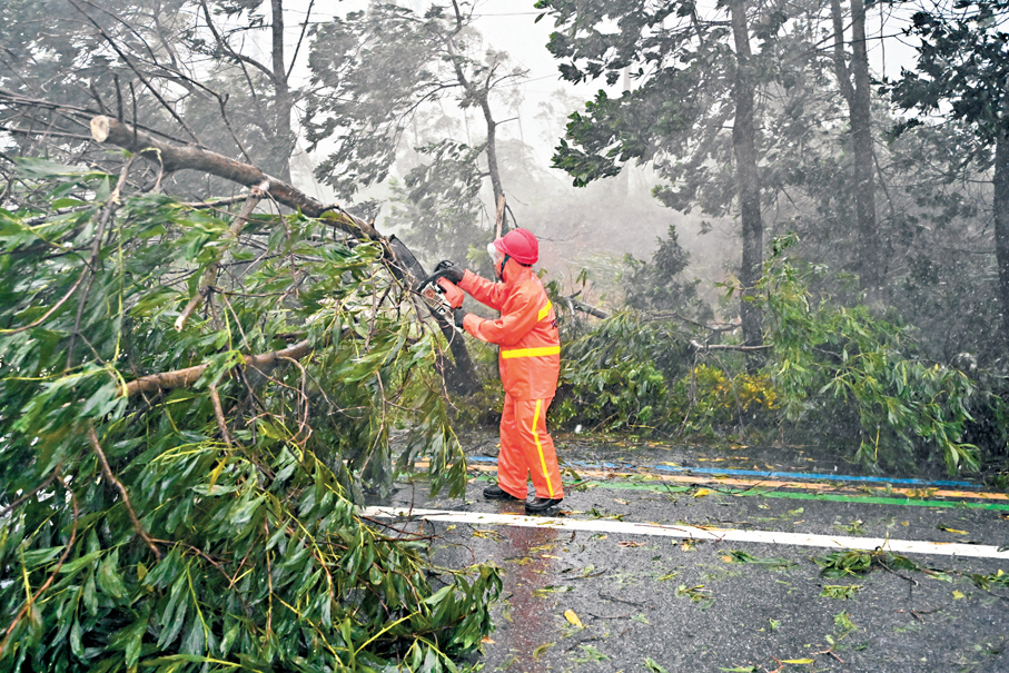 ●9月24日，廣東陽江陽西縣，工作人員清理路面上被大風吹倒的樹木。 中新社