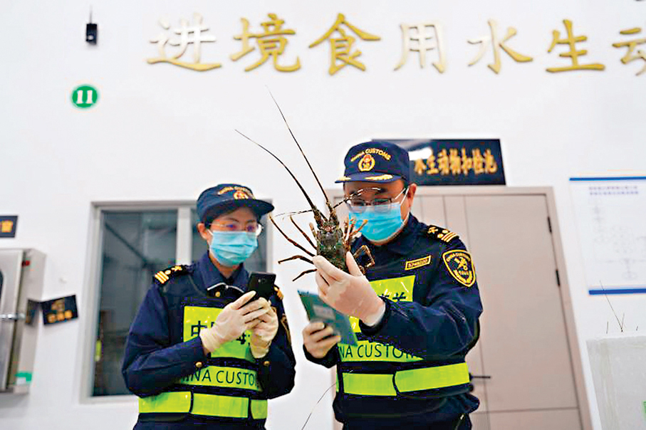  ●首批冰鮮海鮮於4月順利通關，標誌快線首階段成功落實。圖為港珠澳大橋海關關員對首批進口鮮活水產進行查驗。 資料圖片