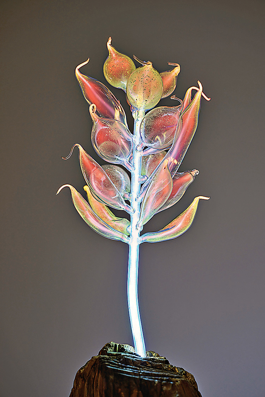 ●《生命之源》