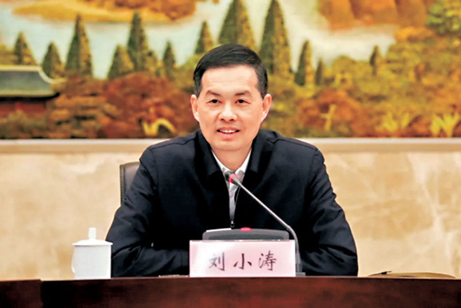 ●劉小濤　網上圖片