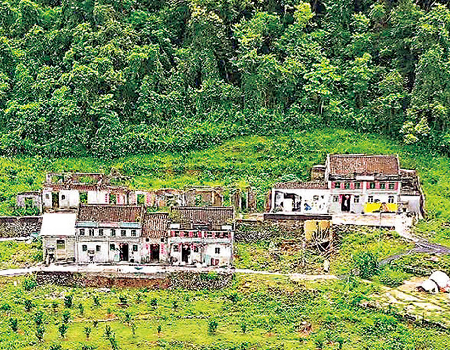 ●復育前的梅子林一片殘垣景象。