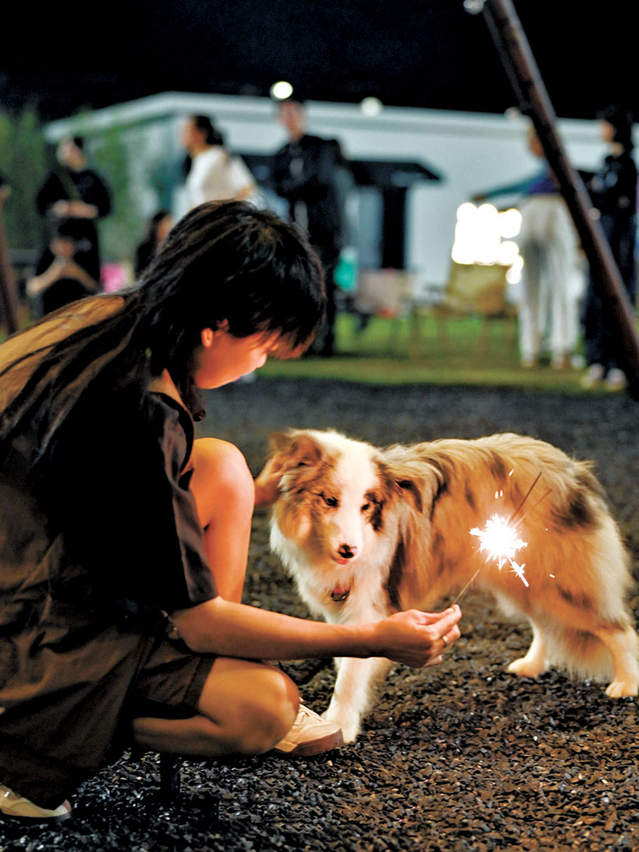 ●愛犬與主人共玩煙花。