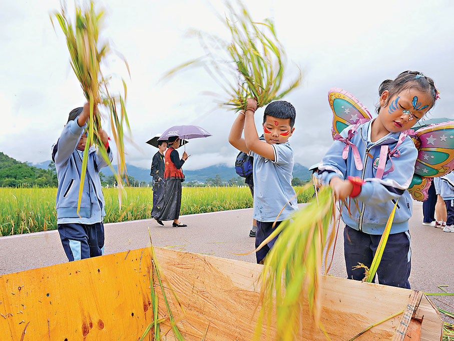 ●小遊客體驗打穀子。