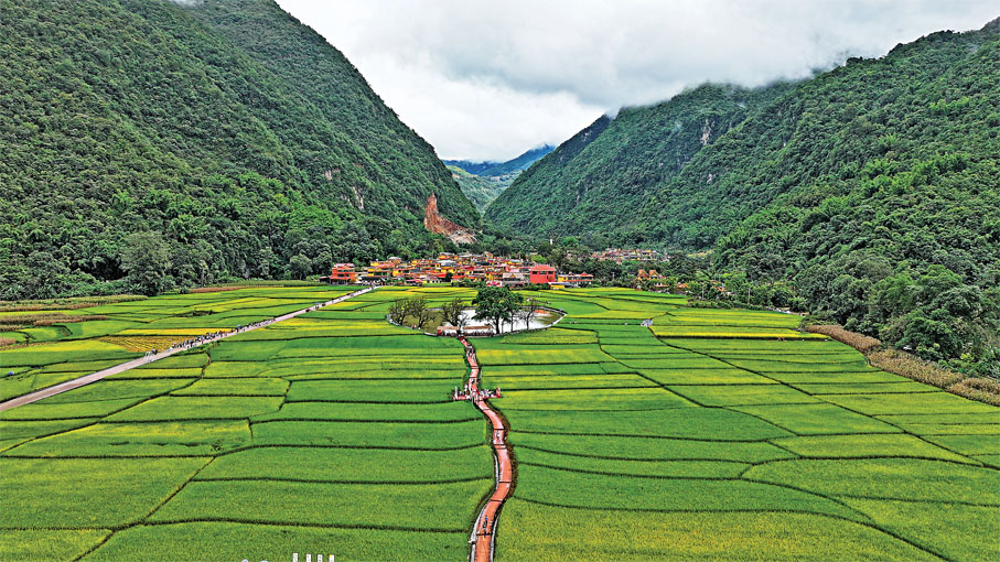 ●雲南臨滄耿馬縣勐撒鎮芒見村田園風光令人陶醉。
