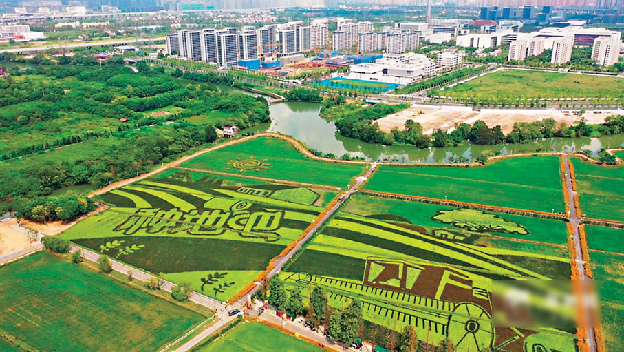 ●種地星球項目俯瞰圖。網上圖片