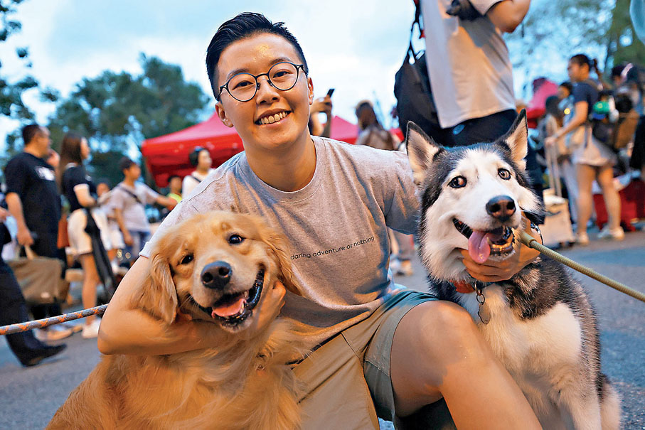 ●狗主黃小姐飼養兩隻大型犬隻，分別是哈士奇與金毛。