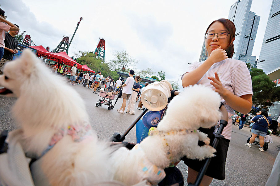 ●狗主吳小姐日常愛帶狗狗到西九文化區等場地活動。