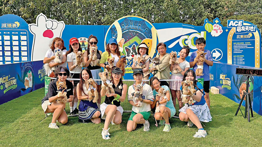 ●十多位約克夏寵物主特意帶着自家的「毛孩子」來感受上海勞力士大師賽的氛圍。