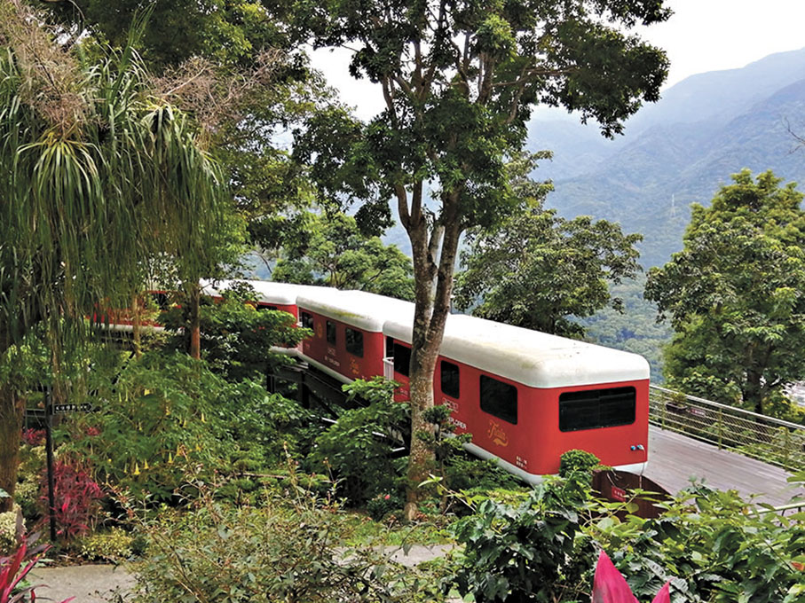 ●莊園內，到處都被樹木包圍。