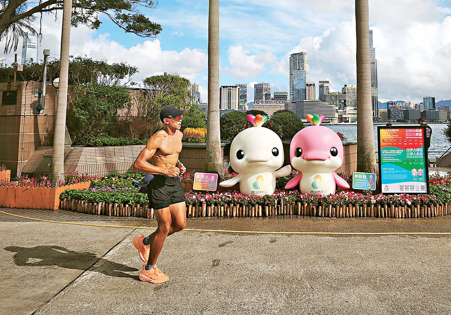 ●李家超透露，特區政府正規劃香港的火炬傳遞活動，路線會着重展示香港文化及體育方面的特色。圖為跑手經過香港金紫荊廣場設置的全運會吉祥物。 中通社