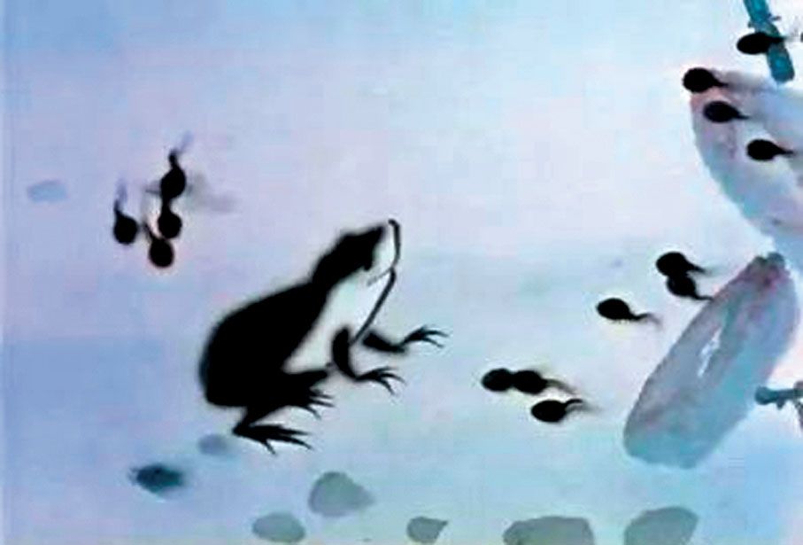 ●水墨動畫電影短片《小蝌蚪找媽媽》展現了齊白石作品中的寫意風格。網上圖片