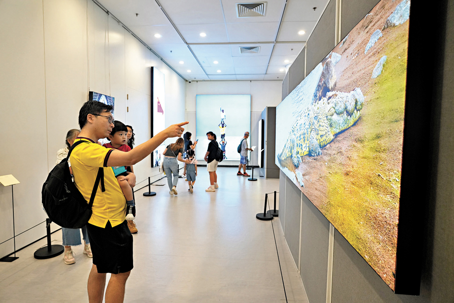 ●市民逛展觀賞作品。