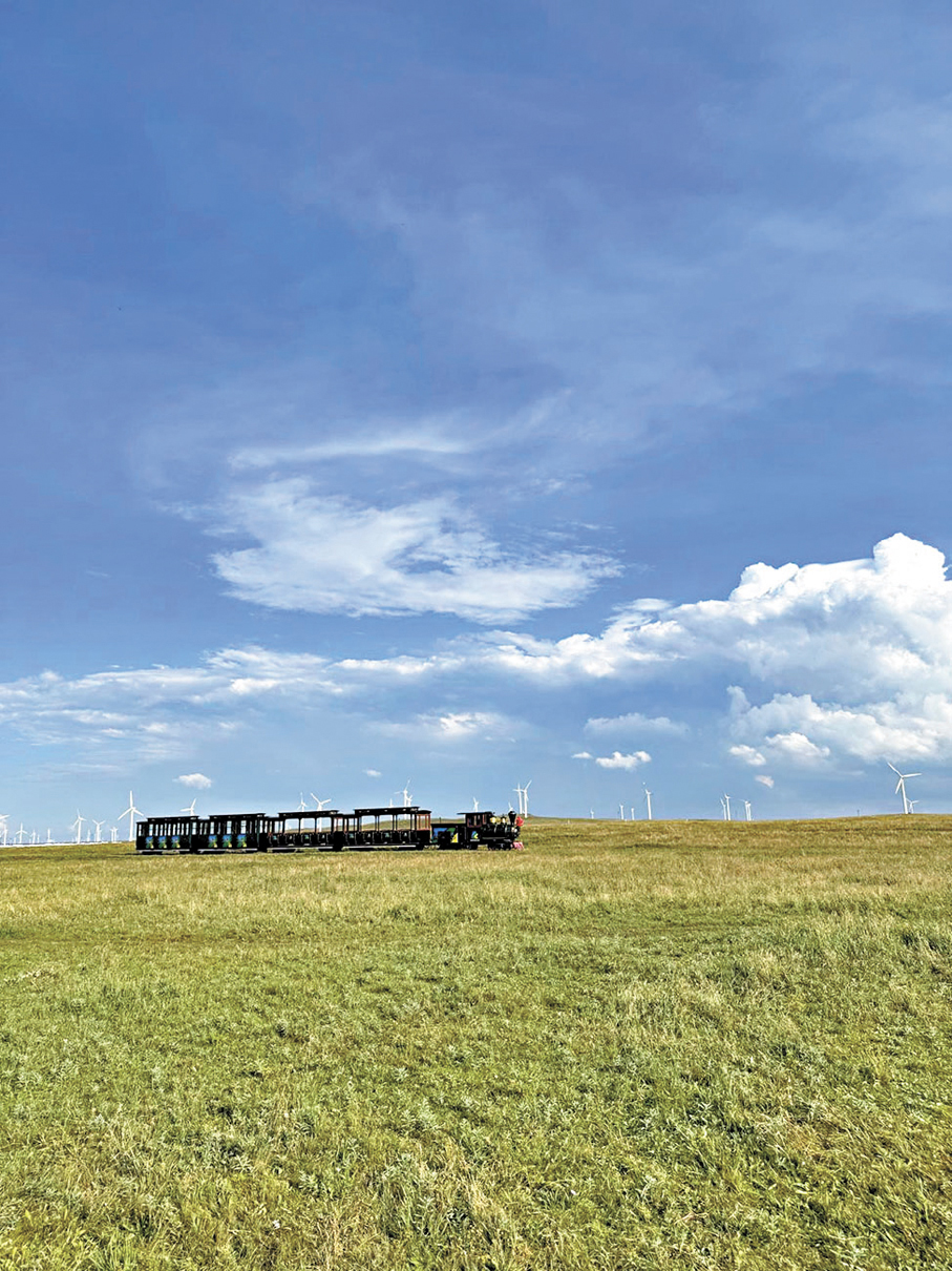 ●在黃花溝草原內坐小火車，心曠神怡。