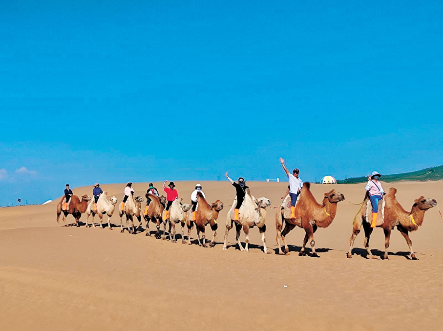 ●響沙灣內，遊客可體驗騎駱駝。