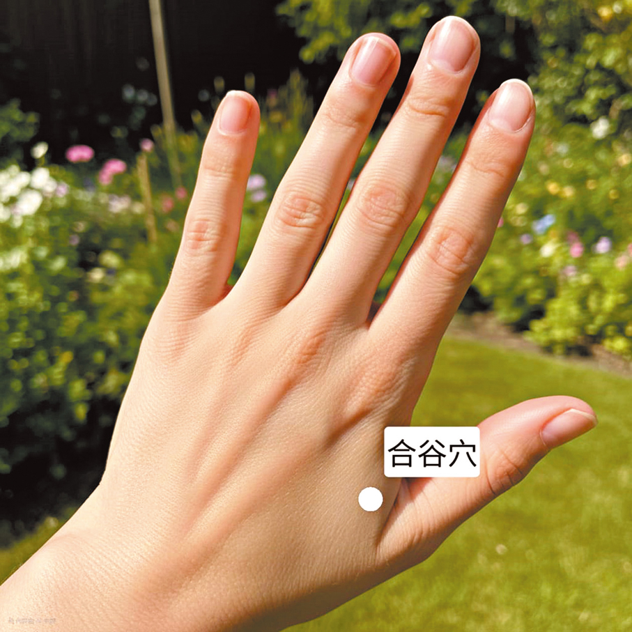 ●合谷穴