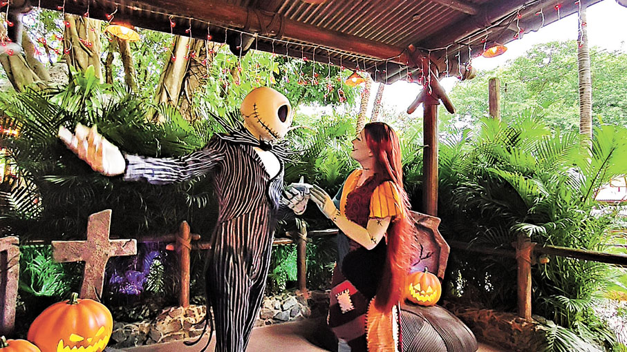 ●與南瓜王阿Jack和莎莉約會