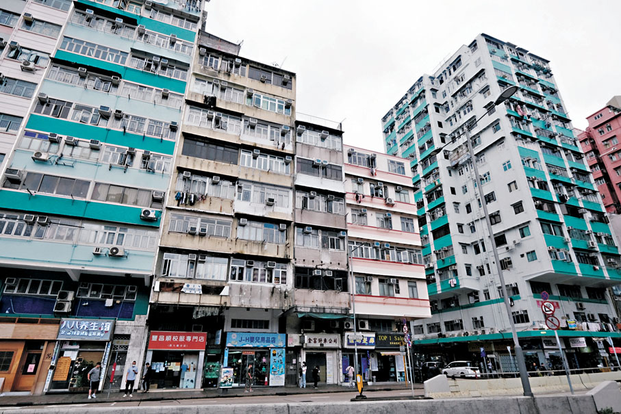 ●麥美娟指聯廈聯管試驗計劃進展良好。  資料圖片