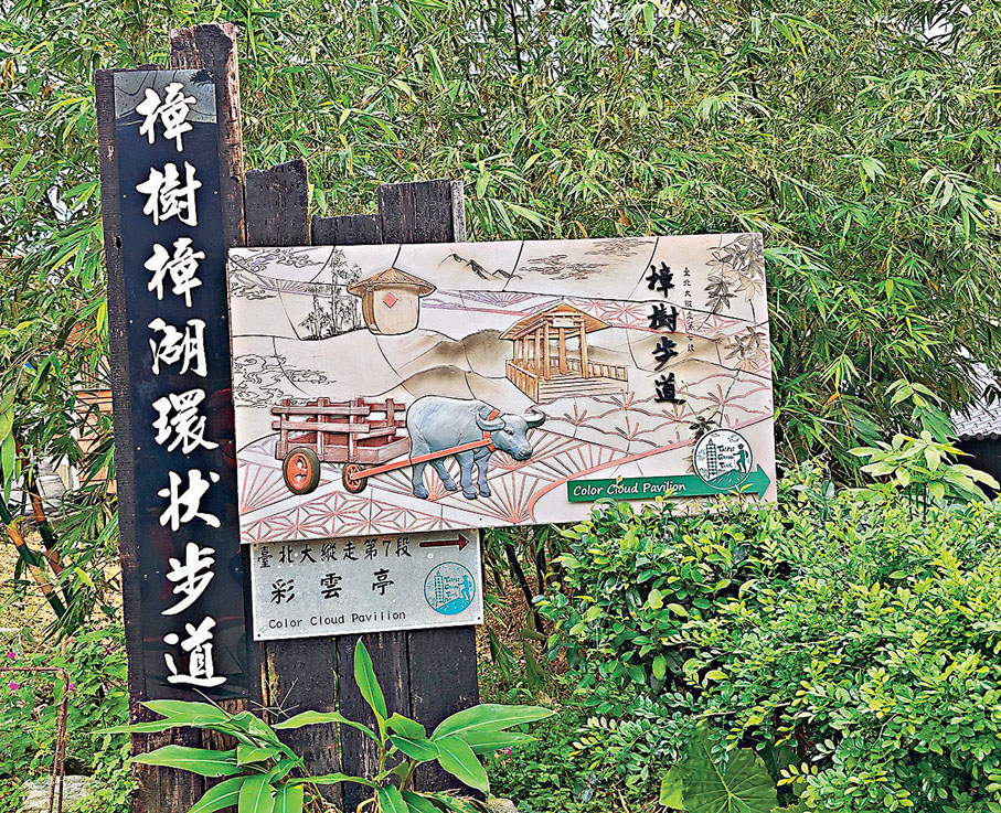 ●樟樹步道是距離貓空纜車站很近的一條散步徑。