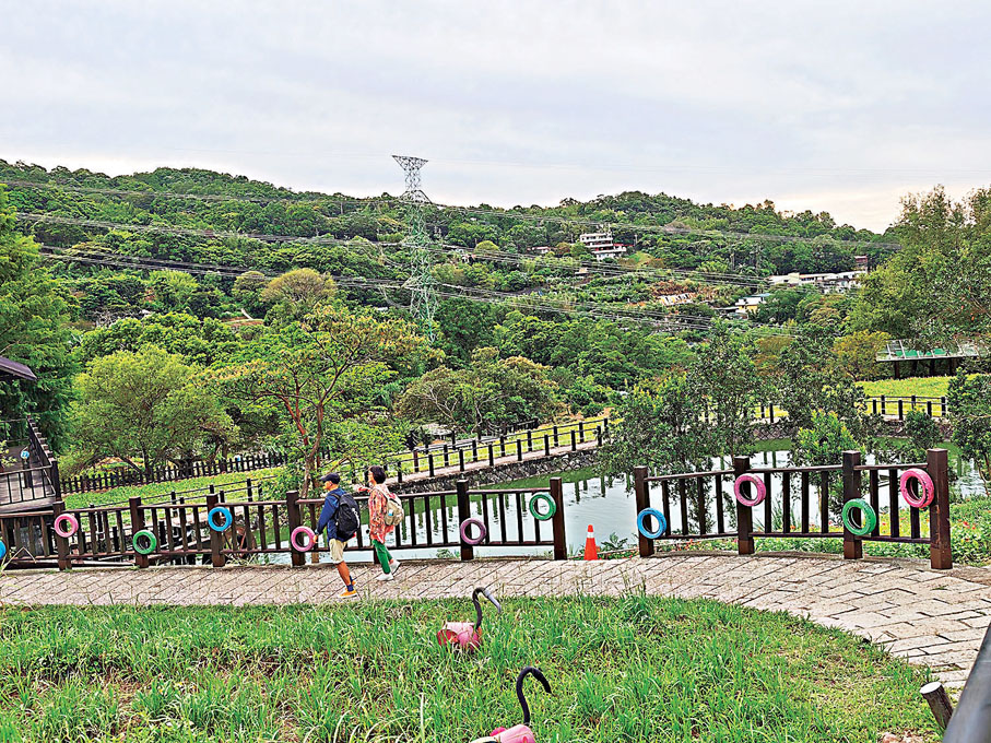 ●這條步道適合不常行山的人士。