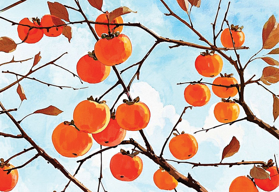 ●我仰頭看着那棵柿子樹。 AI繪圖