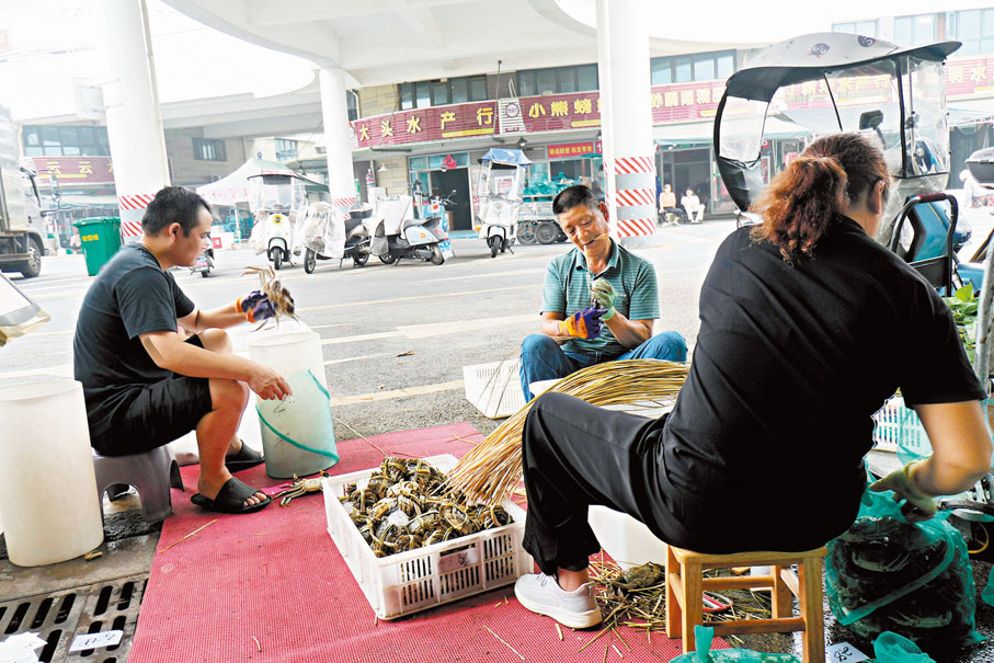 ●蔣長春（中）在挑選分揀螃蟹。