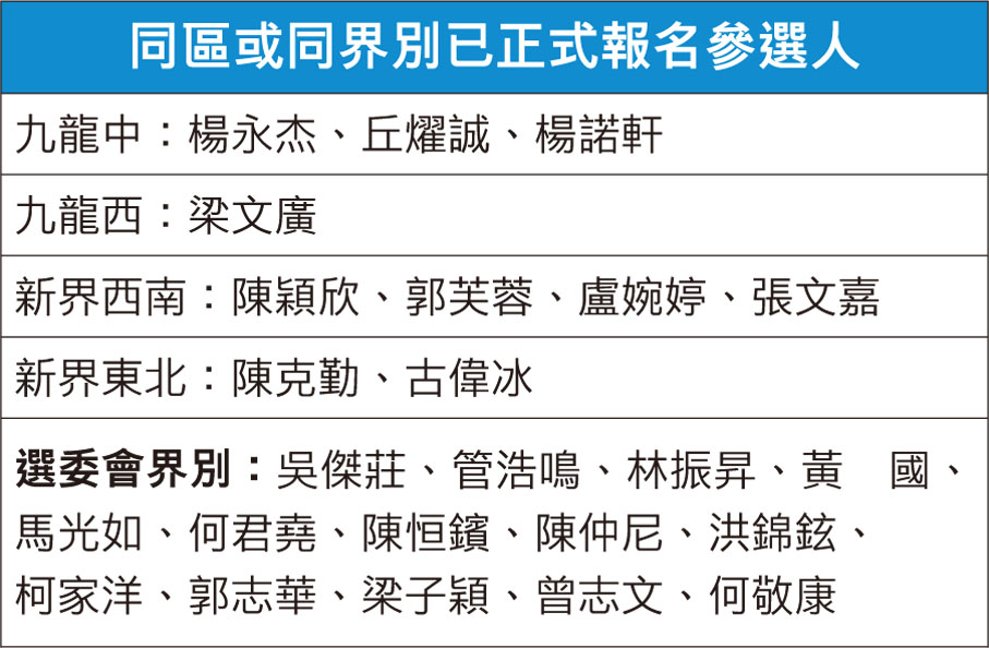 同區或同界別已正式報名參選人