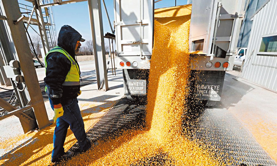 ●美國豆農們紛紛喊話特朗普，表示如果不能和中國達成大豆採購協議，美國將承受嚴重的經濟損失。