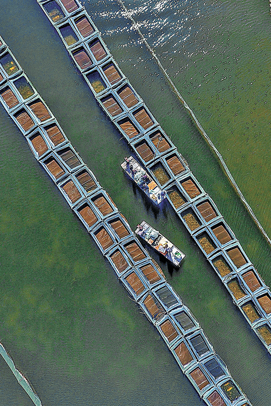 ●蟹農潘爾強在新疆北屯的養殖基地。