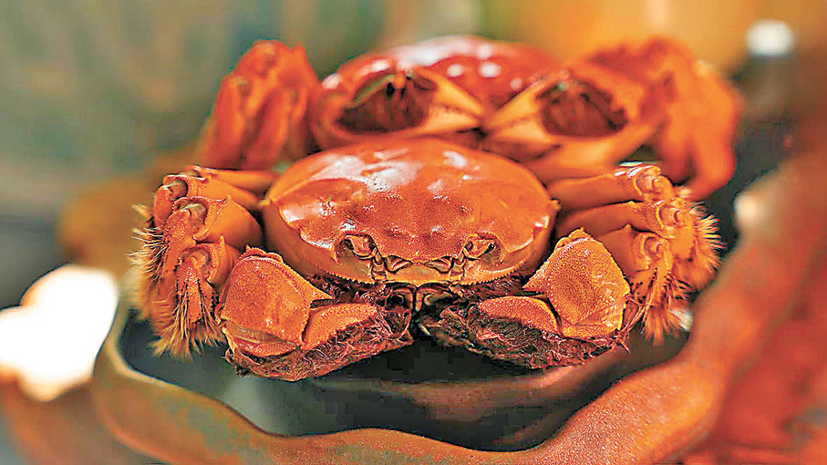 ●新疆產的大閘蟹品牌額河雪蟹。