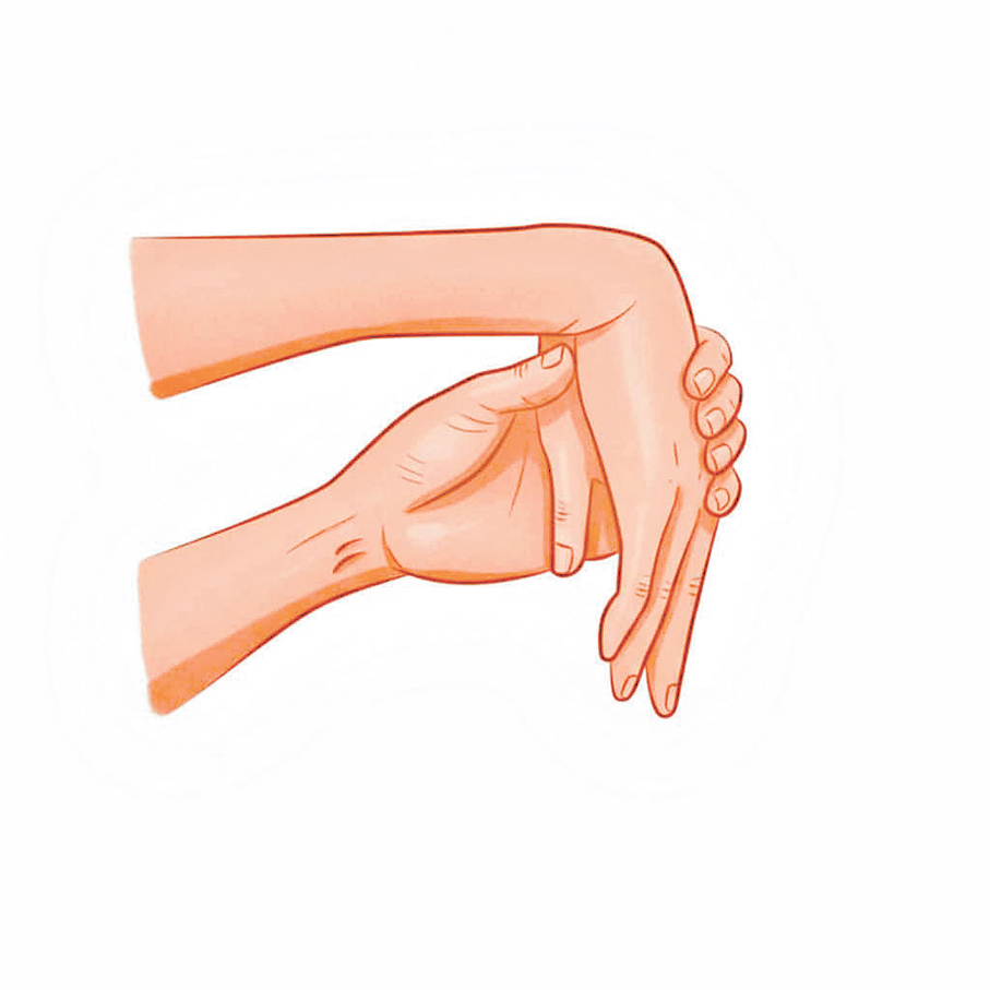 ●前臂伸肌群牽拉伸展