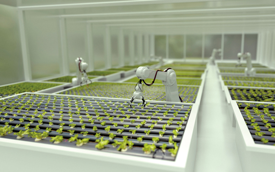 ●農行香港分行支持的現代農業項目。