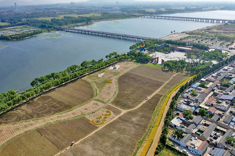 ●大汶河（左上）、大汶口遺址博物館（右上）和大汶口遺址核心區（左下）。 （新華社）