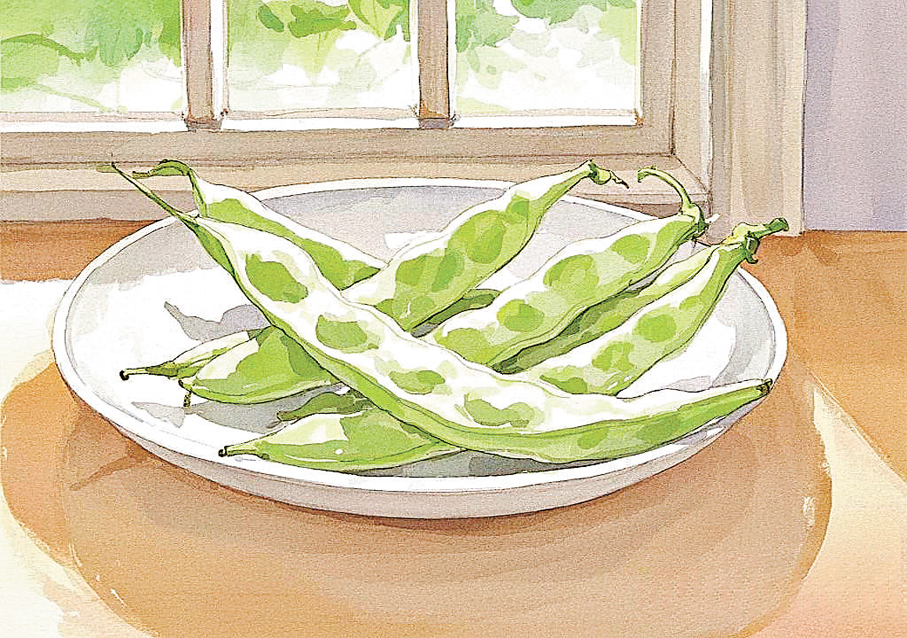 ●刀豆角用來蒸飯別有風味。 AI繪圖