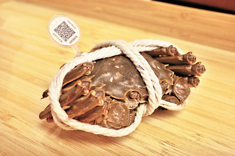 ●京東佳寶超市出售的大閘蟹均配備專屬溯源蟹扣，用手機掃碼後即可查看蟹源基地等信息。 記者周曉菁  攝