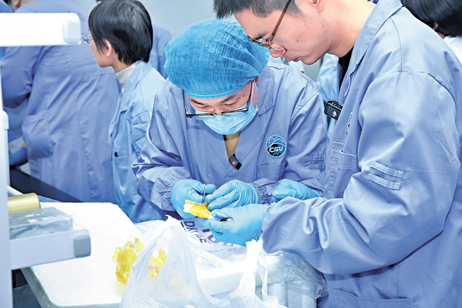 ●太空「出差」歸來的小鼠逐漸恢復，開始啃食鼠糧。香港文匯報北京傳真