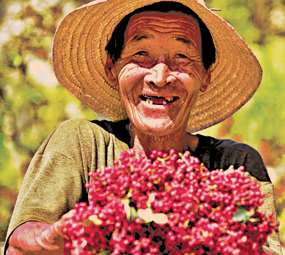 ●圖為農民在展示收割的花椒。 資料圖片