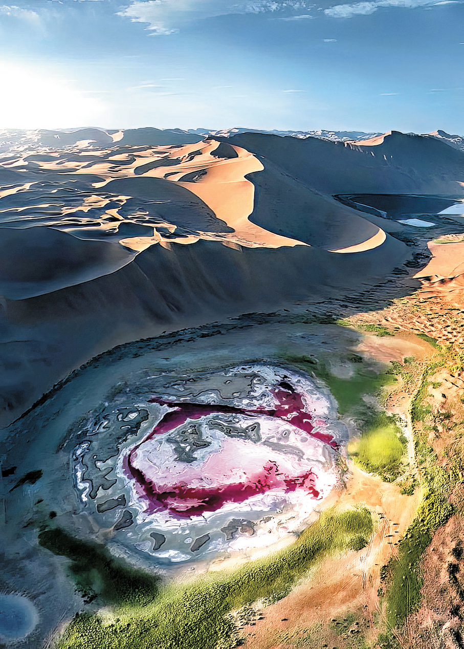 ●達格圖湖「玫瑰紅海」打卡絕景。
